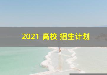 2021 高校 招生计划